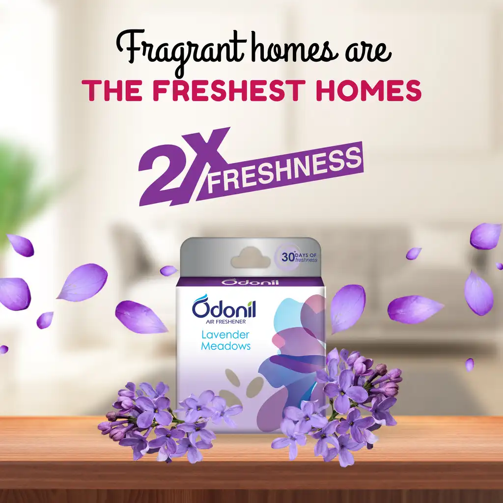 Dabur-Odonil-Air-Freshener-Blocks-Lavender-Meadows-48-g-4.webp