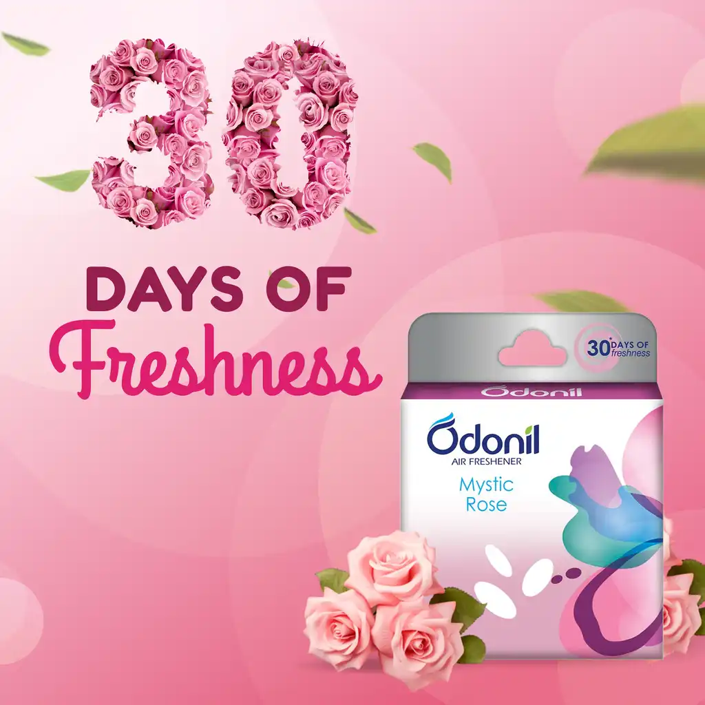Dabur Odonil Air Freshener Blocks Mystic Rose - Image 2