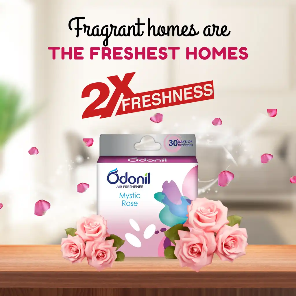 Dabur Odonil Air Freshener Blocks Mystic Rose - Image 4
