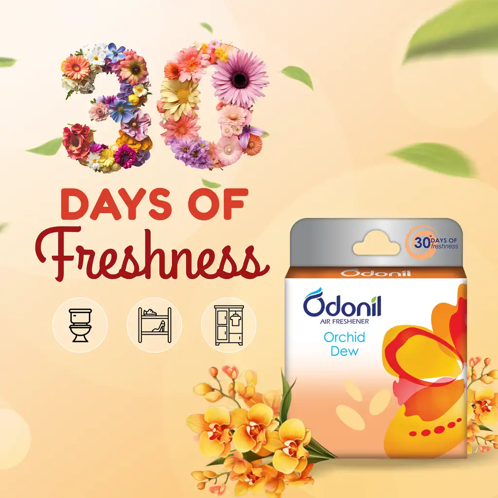 Dabur-Odonil-Air-Freshener-Blocks-Orchid-Dew-48-g-2.webp