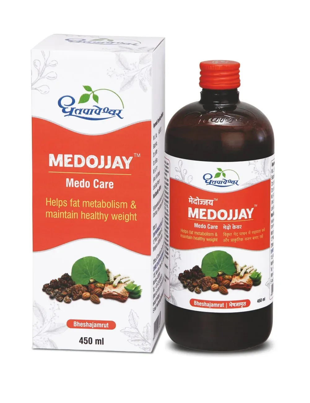 Dhootapapeshwar Medojjay - Image 1