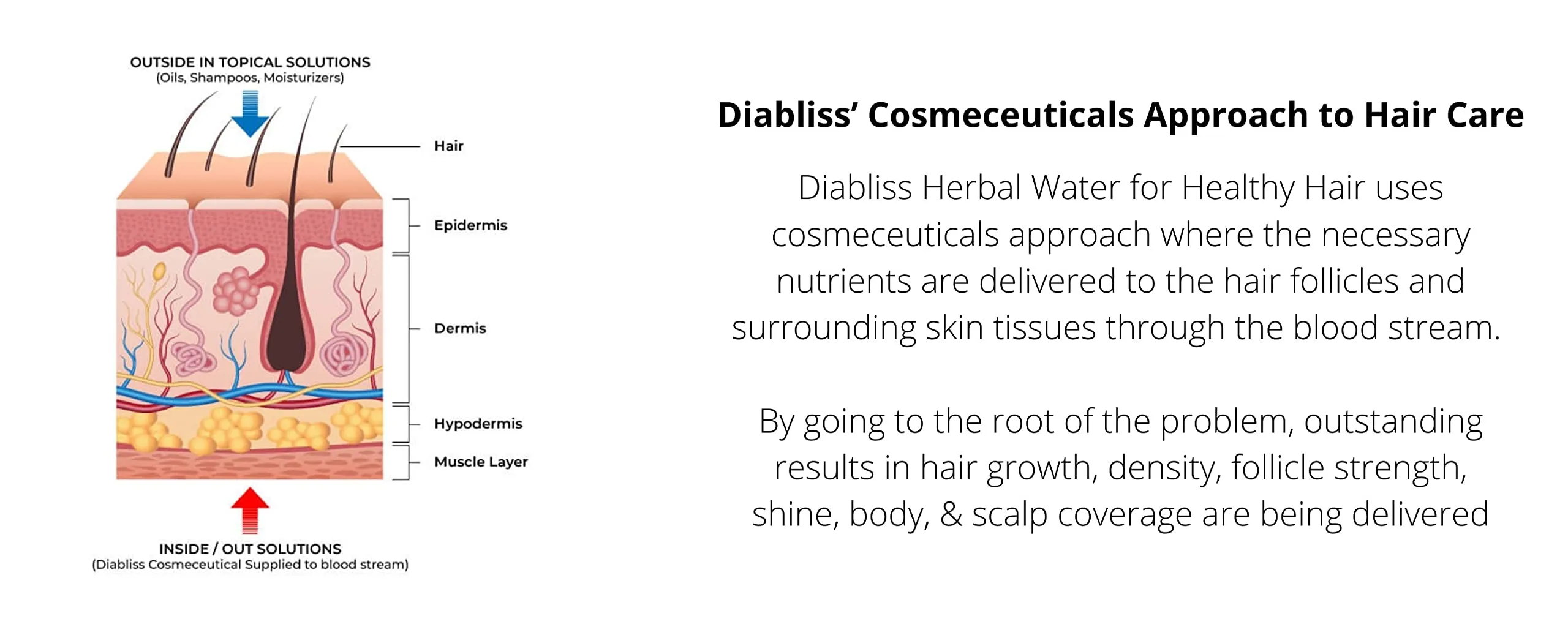 Diabliss Herbal Water For Healthy Hair - Image 2