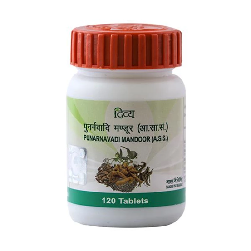 Patanjali Divya Punarnavadi Mandoor | Ayurvedic Wellness Support | Traditional Herbal Iron Formula-3