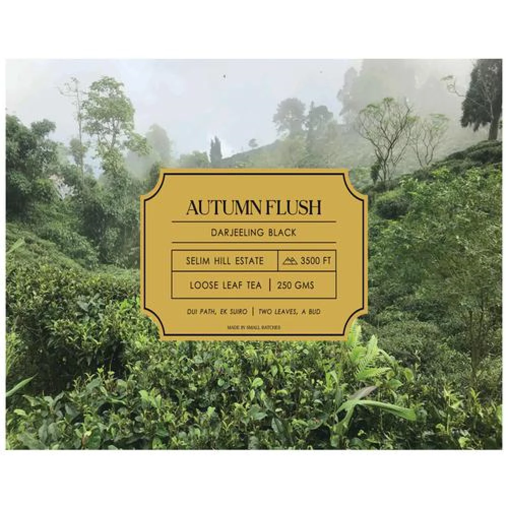 Dorje Autumn Flush Darjeeling Black Tea - With Intense Flavour - Image 4