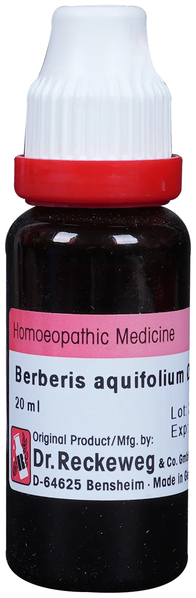Dr-Reckeweg-Berberis-Aquif-Mother-Tincture-Q-20-ml-1.webp