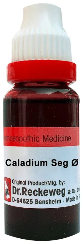Dr-Reckeweg-Caladium-Seg-Mother-Tincture-Q-20-ml-1.webp