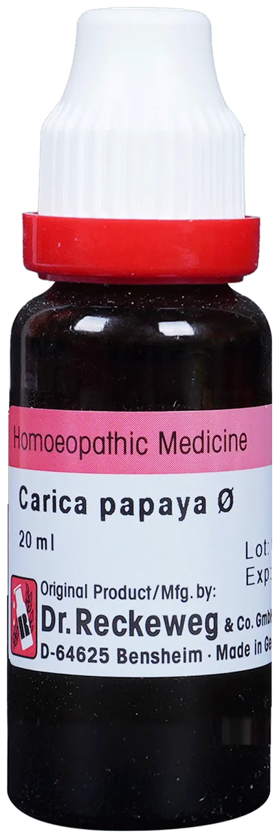 Dr-Reckeweg-Carica-Papaya-Mother-Tincture-Q-20-ml-1.webp
