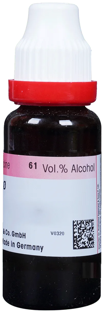Dr-Reckeweg-Carica-Papaya-Mother-Tincture-Q-20-ml-2.webp