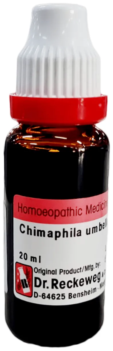 Dr-Reckeweg-Chimaphila-Umbellata-Mother-Tincture-Q-20-ml-1.webp