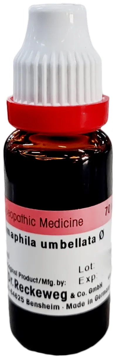 Dr-Reckeweg-Chimaphila-Umbellata-Mother-Tincture-Q-20-ml-2.webp
