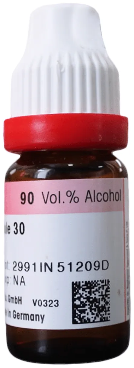 Dr. Reckeweg Colchicum Autumnale Dilution - Image 2