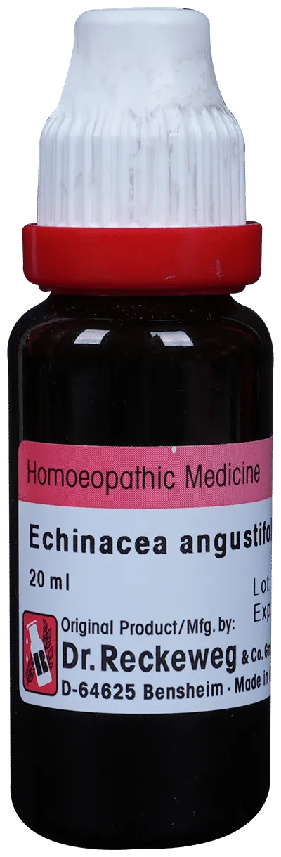 Dr-Reckeweg-Echinacea-Ang-Mother-Tincture-Q-20-ml-1.webp