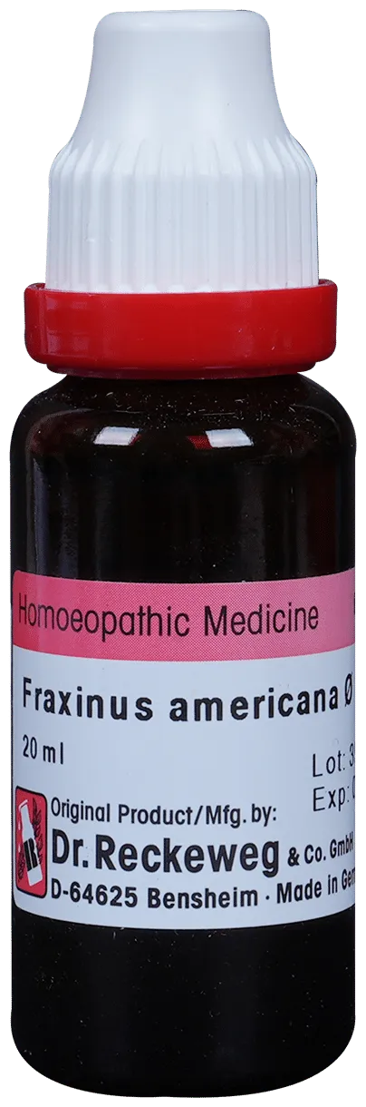 Dr-Reckeweg-Fraxinus-Amer-Mother-Tincture-Q-20-ml-1.webp
