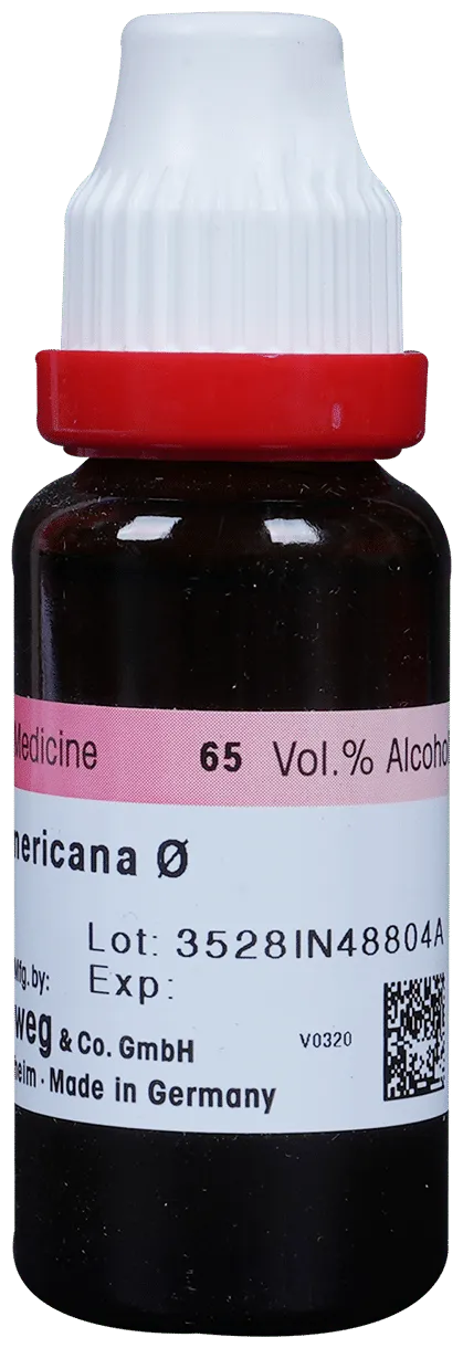 Dr-Reckeweg-Fraxinus-Amer-Mother-Tincture-Q-20-ml-2.webp