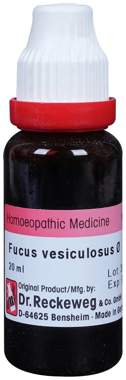 Dr-Reckeweg-Fucus-Vesic-Mother-Tincture-Q-20-ml-1.webp
