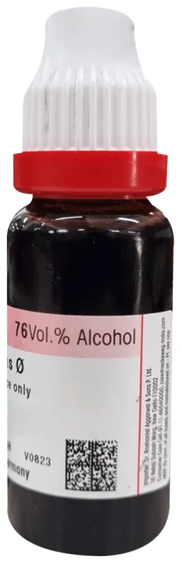 Dr-Reckeweg-Gaultheria-Mother-Tincture-Q-20-ml-3.webp