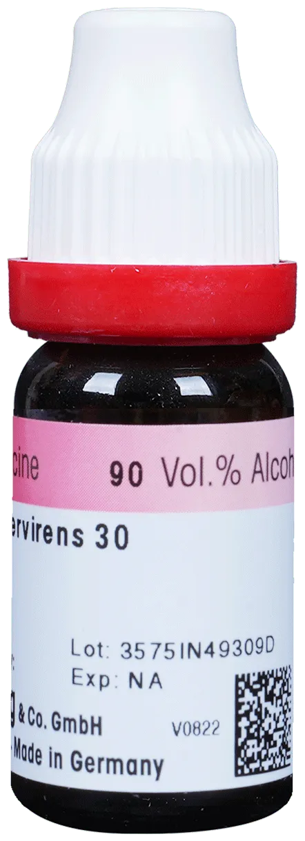 Dr. Reckeweg Gelsemium Sempervirens Dilution - Image 2