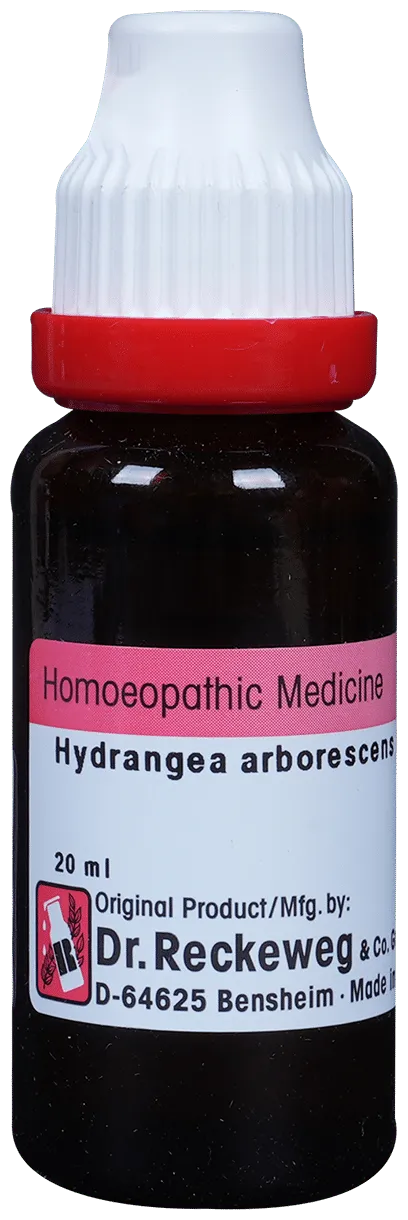 Dr-Reckeweg-Hydrangea-Mother-Tincture-Q-20-ml-1.webp