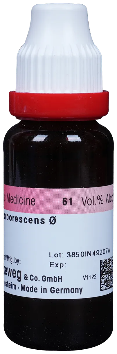 Dr-Reckeweg-Hydrangea-Mother-Tincture-Q-20-ml-2.webp