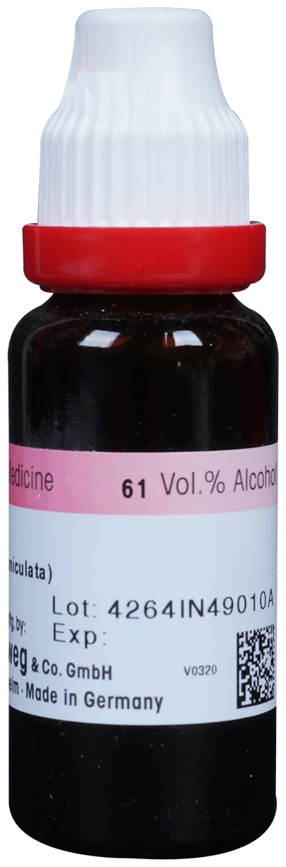 Dr-Reckeweg-Kalmegh-Mother-Tincture-Q-20-ml-2.webp