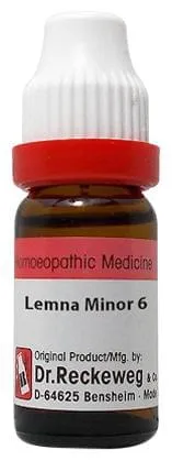 Dr. Reckeweg Lemna Minor Dilution