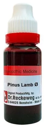 Dr-Reckeweg-Pinus-Lamb-Mother-Tincture-Q-20-ml-1.webp