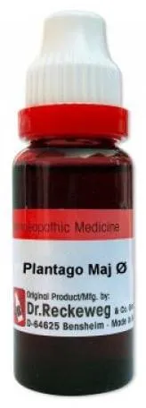 Dr-Reckeweg-Plantago-Maj-Mother-Tincture-Q-20-ml-1.webp
