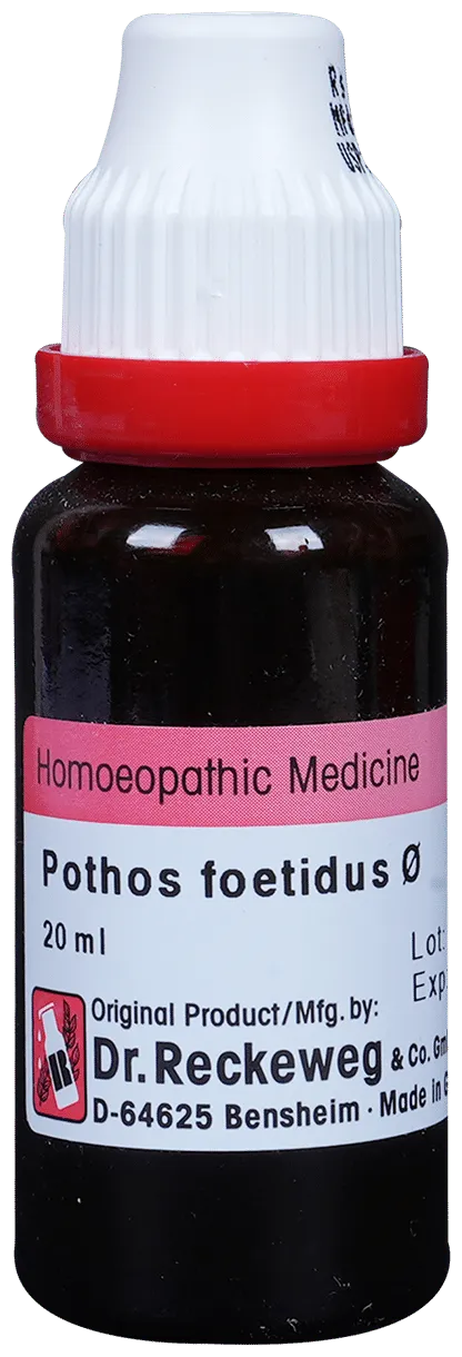 Dr-Reckeweg-Pothos-Foetida-Mother-Tincture-Q-20-ml-1.webp