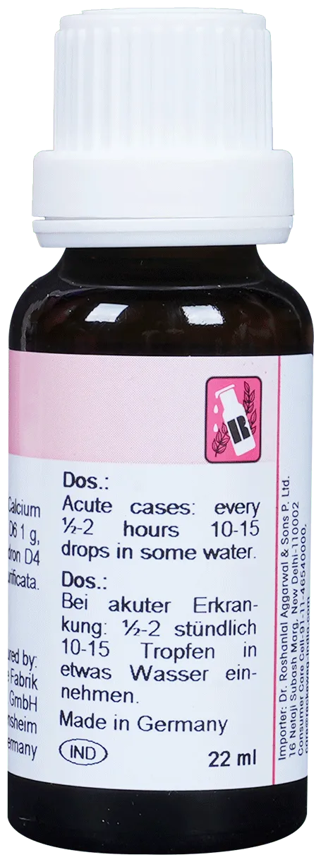 Dr-Reckeweg-R11-Rheumatism-Drop-22-ml-3.webp