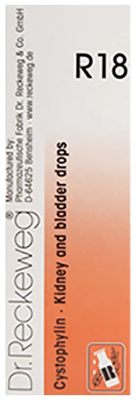Dr-Reckeweg-R18-Kidney-And-Bladder-Drop-22-ml-1.webp