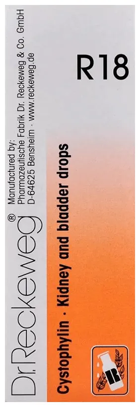 Dr-Reckeweg-R18-Kidney-And-Bladder-Drop-22-ml-3.webp