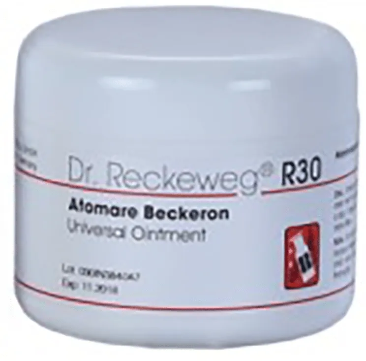 Dr-Reckeweg-R30-Universal-Ointment-85-g-2.webp