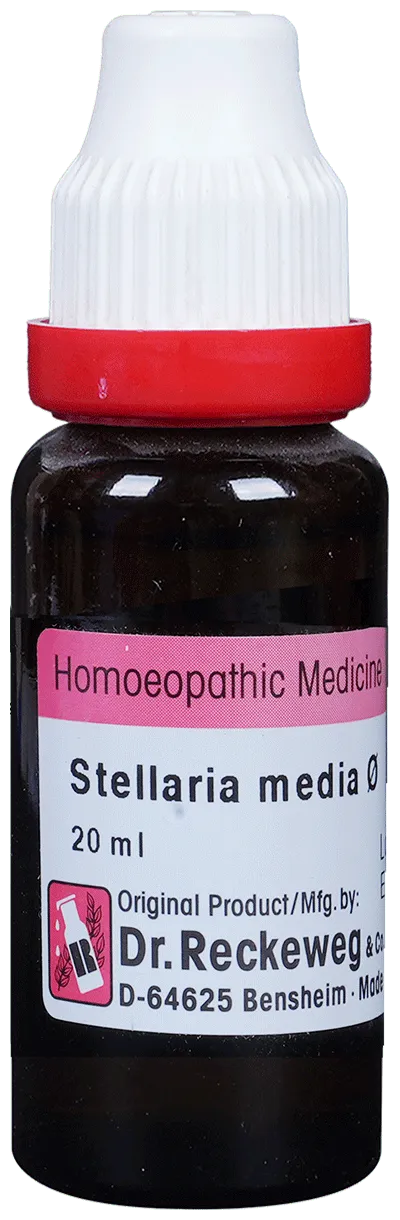 Dr-Reckeweg-Stellaria-Media-Mother-Tincture-Q-20-ml-1.webp