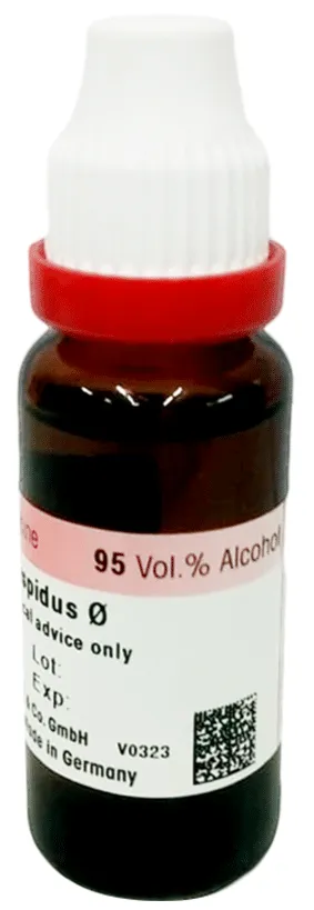Dr-Reckeweg-Strophanthus-Mother-Tincture-Q-20-ml-3.webp