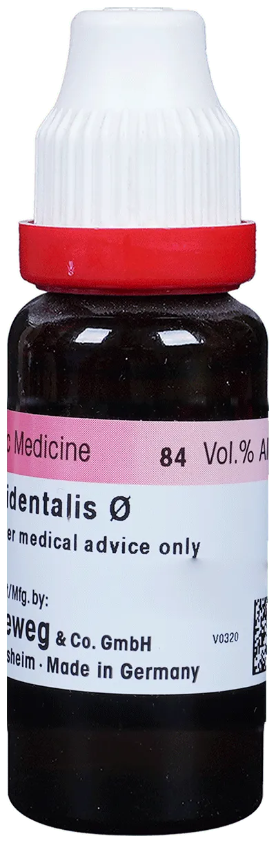Dr-Reckeweg-Thuja-Occi-Mother-Tincture-Q-20-ml-2.webp
