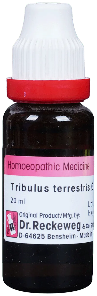 Dr-Reckeweg-Tribulus-Terr-Mother-Tincture-Q-20-ml-1.webp