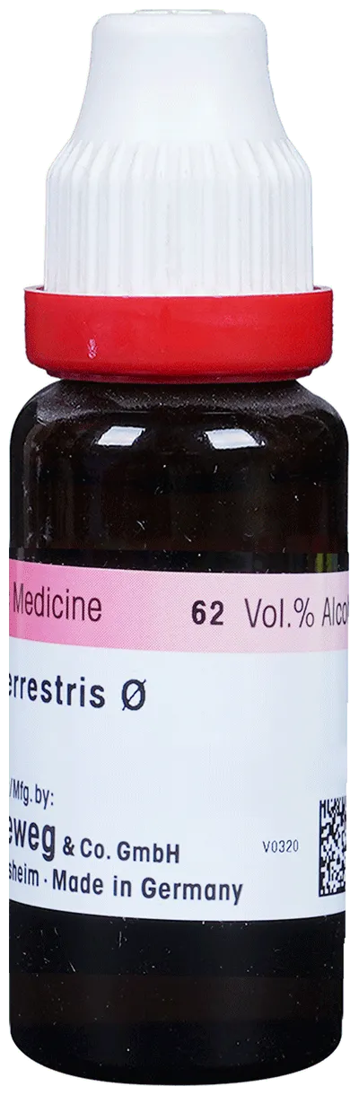 Dr-Reckeweg-Tribulus-Terr-Mother-Tincture-Q-20-ml-2.webp