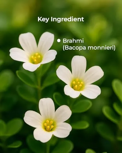 Dr. Talat's Brahmi Capsules - Image 2