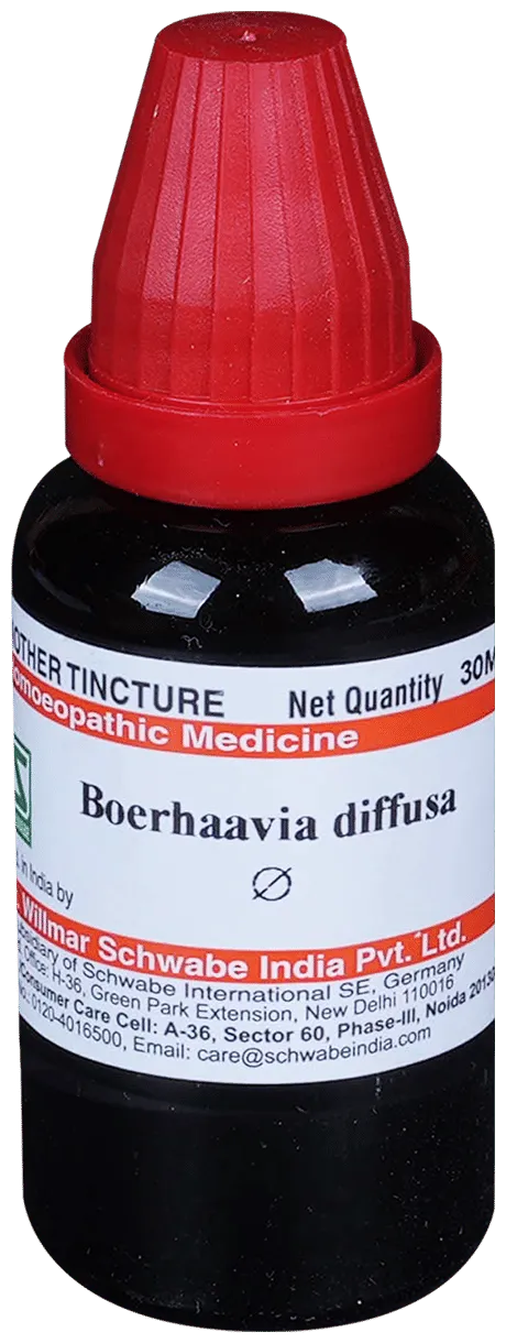 Dr. Willmar Schwabe India Boerhaavia Diffusa Mother Tincture Q