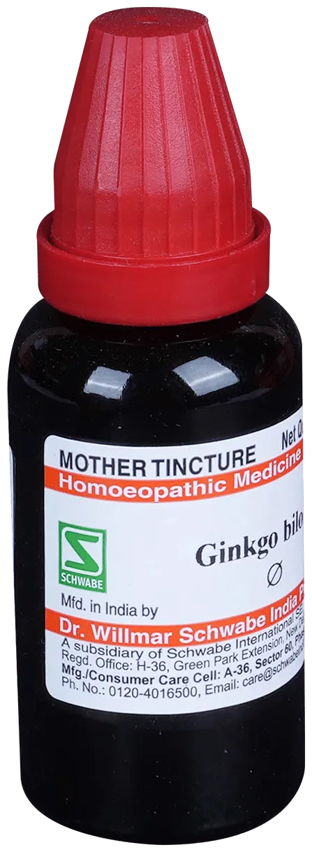 Dr. Willmar Schwabe India Ginkgo Biloba Mother Tincture Q