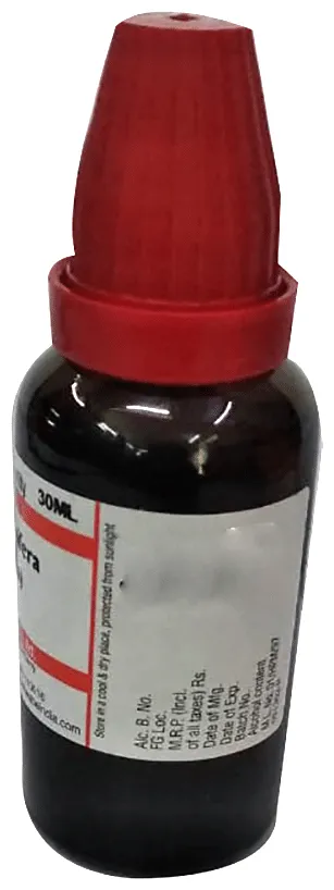 Dr. Willmar Schwabe India Withania Somnifera (Aswagandha) Mother Tincture Q