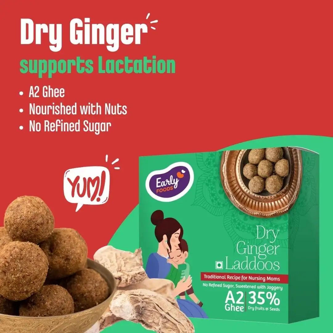 Early-Foods-Dry-Ginger-Laddoo-A2-Ghee-250-g-5.webp