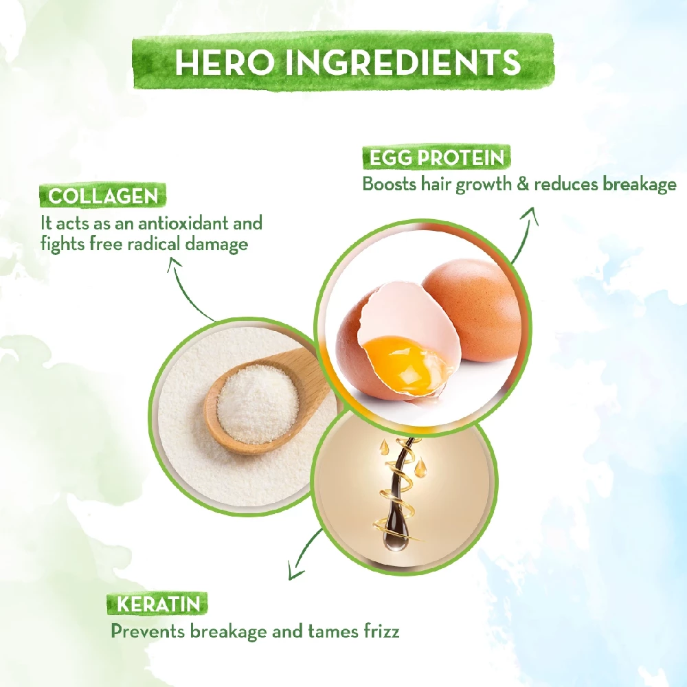 Eggplex Shampoo with Egg Protein & Collagen for Strength and Shine - Image 4