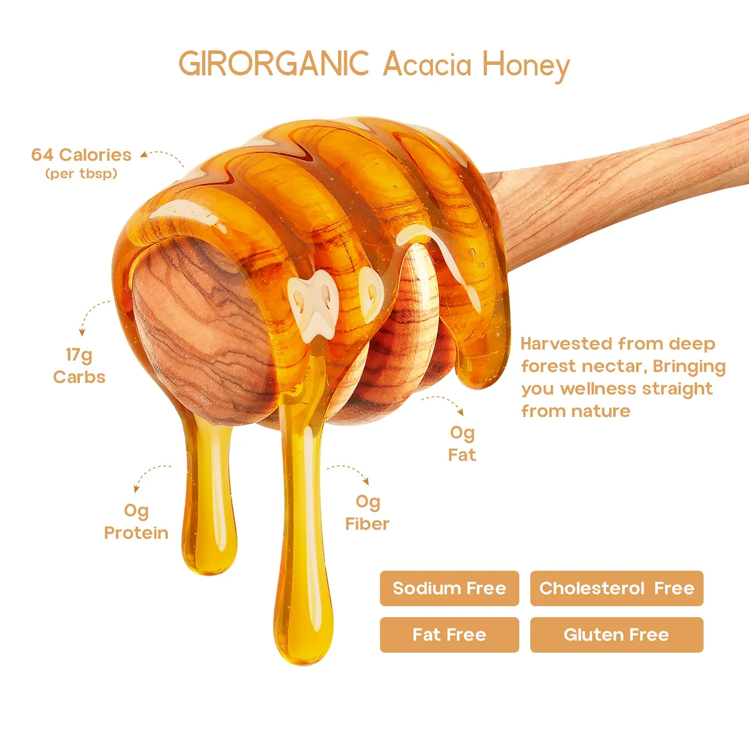 Gir Organic Acacia Honey - Image 7