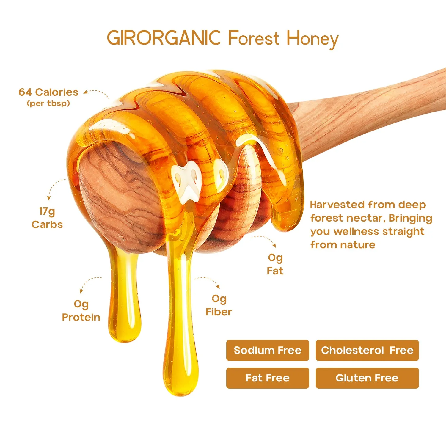 Gir Organic Forest Honey - Image 4