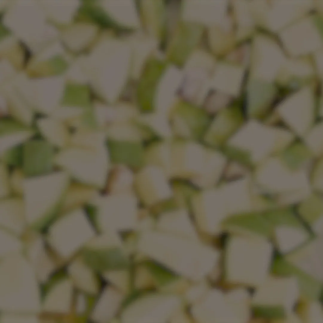 Gir Organic Mango Pickle - Image 6