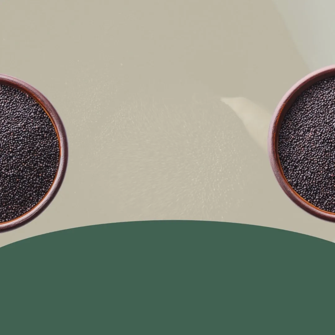 Gir Organic Wood Pressed Virgin Black Mustard Oil - Image 5