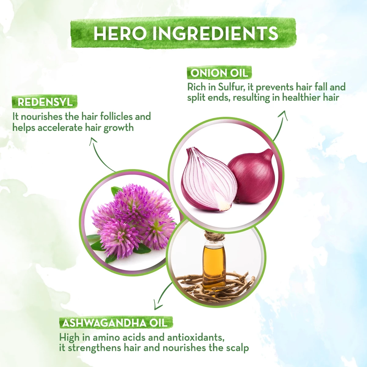 Hair Oil Booster - Onion - Image 3