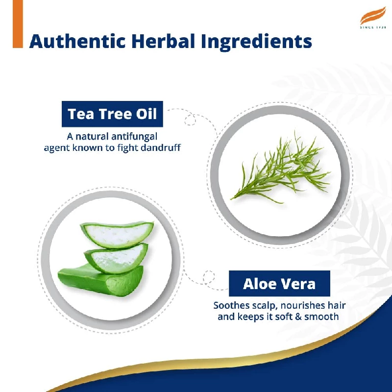 Himalaya Anti-Dandruff Shampoo - Image 3