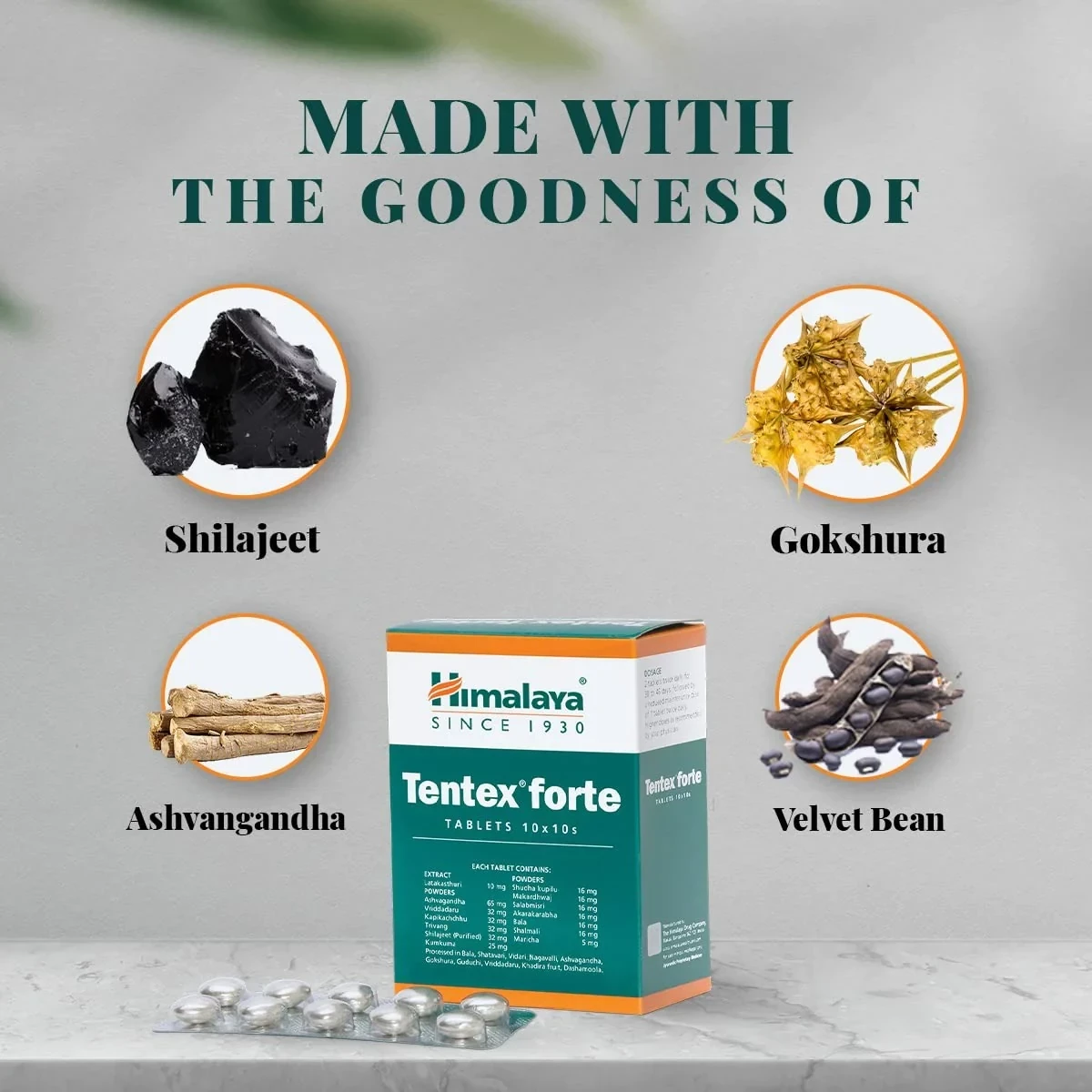 Himalaya Tentex Forte Tablets - Image 2